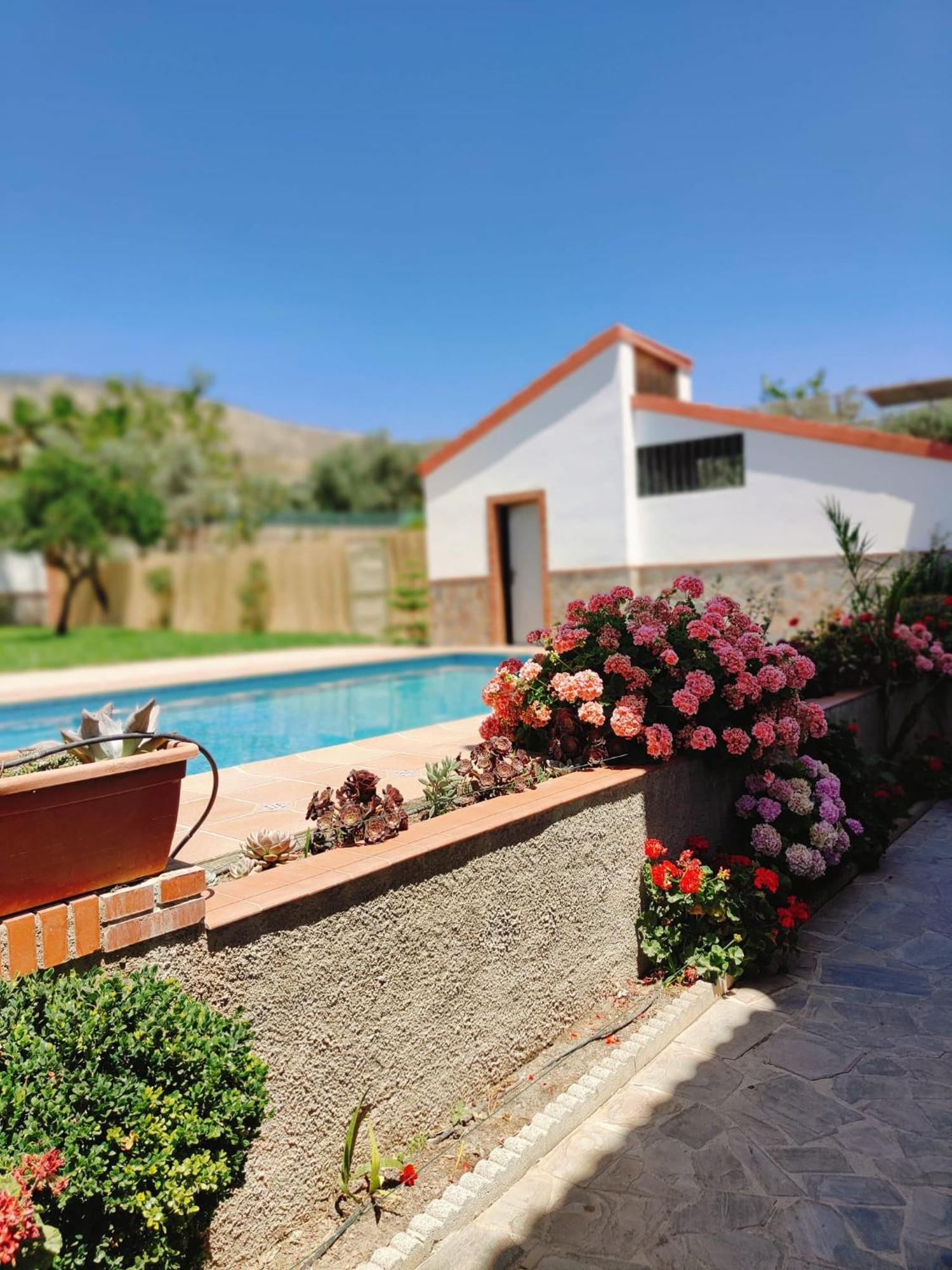 Casa Rural Las Cuatro Flores Orgiva Buitenkant foto